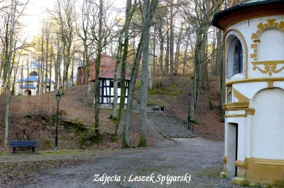 źródło: Leszek Spigarski