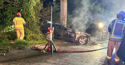 Samochód uderzył w drzewo. 19-latek zginął w płonącym aucie
