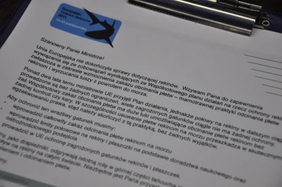 Europejski Tydzień Rekina w gdyńskim Akwarium