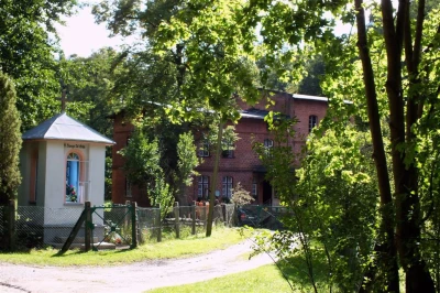 Odkrywali ciekawostki wejherowskiego parku (fot. Leszek Spigarski)