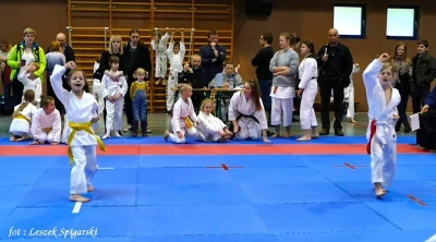 Wejherowo 2017: Pomorski Turniej Karate Tradycyjnego - fot. Leszek Spigarski