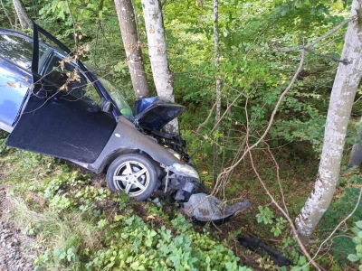 Samochód wypadł z drogi i uderzył w drzewo. Interweniowały służby