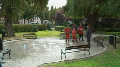 Wiosna pełna kolorów w Pucku