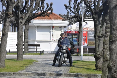 Motoserca w Sopocie