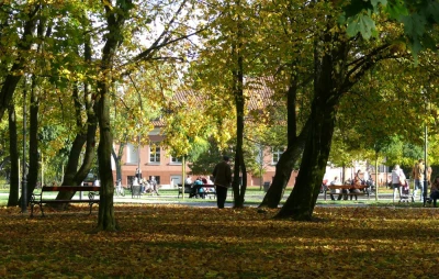 fot. Leszek Spigarski