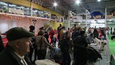 III Karnawałowa Zimowa Wystawa Psów Rasowych