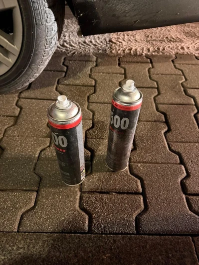 Miniatura
