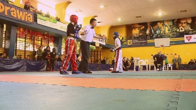 Miniatura