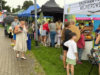 Trwa trzecia edycja EKO Pikniku! Park Miejski zamienił się w ekologiczną strefę pełną atrakcji