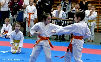 Wejherowo 2017: Pomorski Turniej Karate Tradycyjnego - fot. Leszek Spigarski