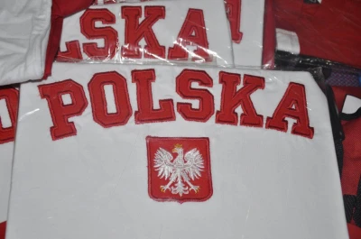 Liga Światowa 2011: Rosja za silna dla Polaków