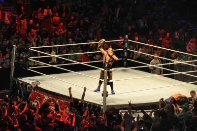 Wrestling - wszystkie chwyty dozwolone