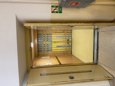 Miniatura