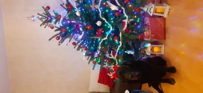 20201220_171055.jpg