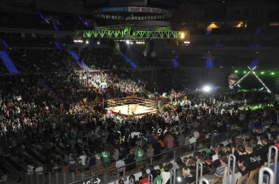 Wrestling - wszystkie chwyty dozwolone