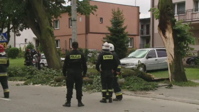 Władysławowo: Drzewo przygniotło dwa auta