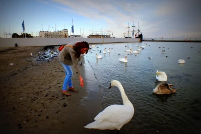 Listopadowe popołudnie na gdyńskiej plaży