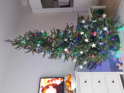 20201226_141000.jpg
