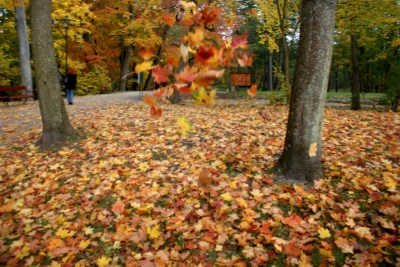 Parki wejherowskie