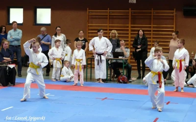 Wejherowo 2017: Pomorski Turniej Karate Tradycyjnego - fot. Leszek Spigarski