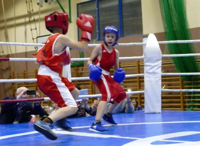 I Wejherowski Boxing Show 2017 - fot. Leszek Spigarski