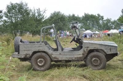V Piknik Militarny w Lisewie