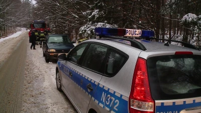 Zbyt szybka jazda skończyła się w rowie