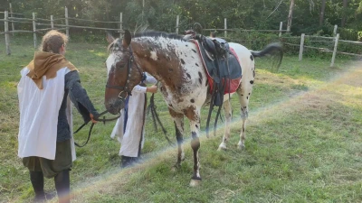 Inscenizacja bitwy pod Świecinem