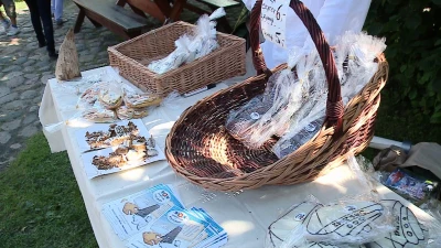 Krancbal 2012
