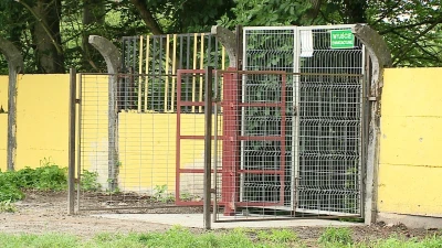 Gryf Orlex gotowy na mecze w II lidze