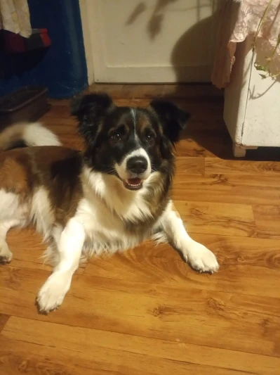 240728008_393496672297009_3791651621430115475_n.jpg