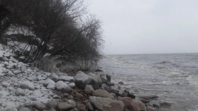 Gdynia Babie Doły – fot. Anna Macholl