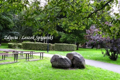 Fot. Leszek Spigarski