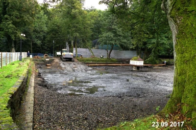 Remont łabędziego stawu w Parku Miejskim, 2017, fot. Leszek Spigarski