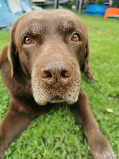 239561430_4341847402537696_3974163705230524055_n.jpg