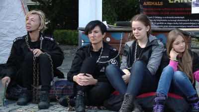 Wejherowo: Przykuli się łańcuchami do bud