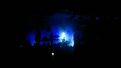 Koncert Sarsy w Fabryce Kultury w Redzie (fot. Adam Kołodziej)