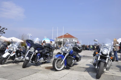 Motoserca w Sopocie