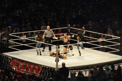 Wrestling - wszystkie chwyty dozwolone