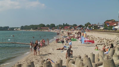 Dzień Ryby w Helu 2021