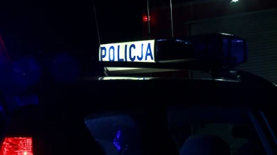 Auto dostawcze uderzyło w drzewo