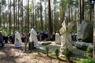 fot. Leszek Spigarski