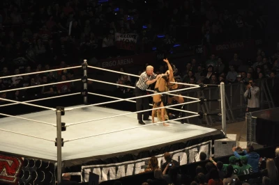 Wrestling - wszystkie chwyty dozwolone
