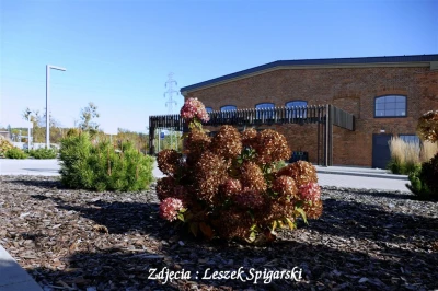 Fot. Leszek Spigarski