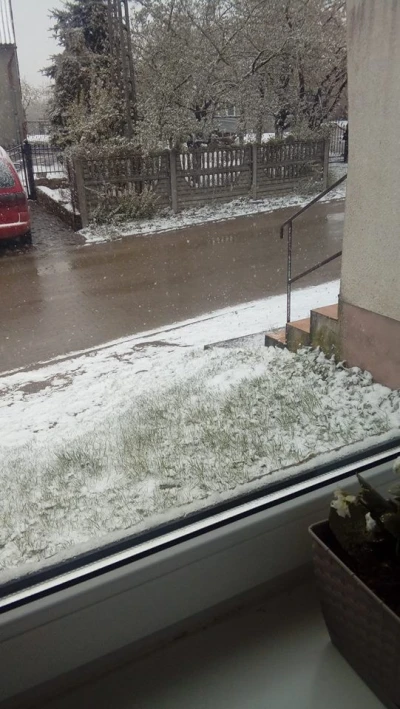 Zima wróciła na Pomorze fot. czytelnicy