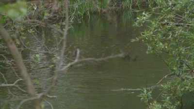 Wejherowo: Strażacy szukają topielca