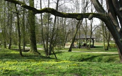 fot. Leszek Spigarski