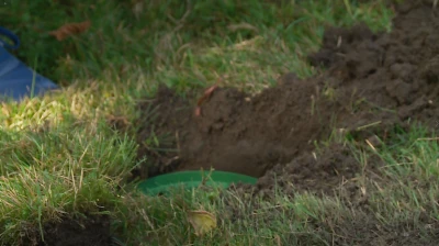 Wiosna pełna kolorów w Pucku
