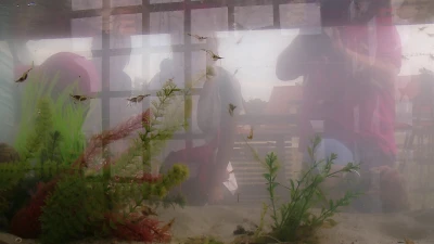 vlcsnap-2019-08-02-14h26m53s070.png