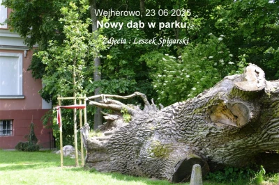 Fot. Leszek Spigarski